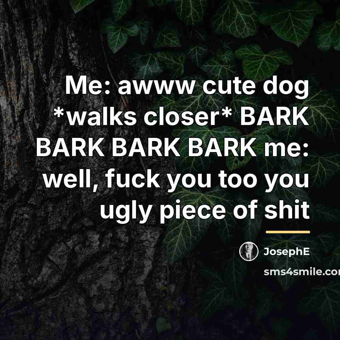 “Me: awww cute dog *walks closer* BARK BARK BARK BARK…” quote by JosephE
