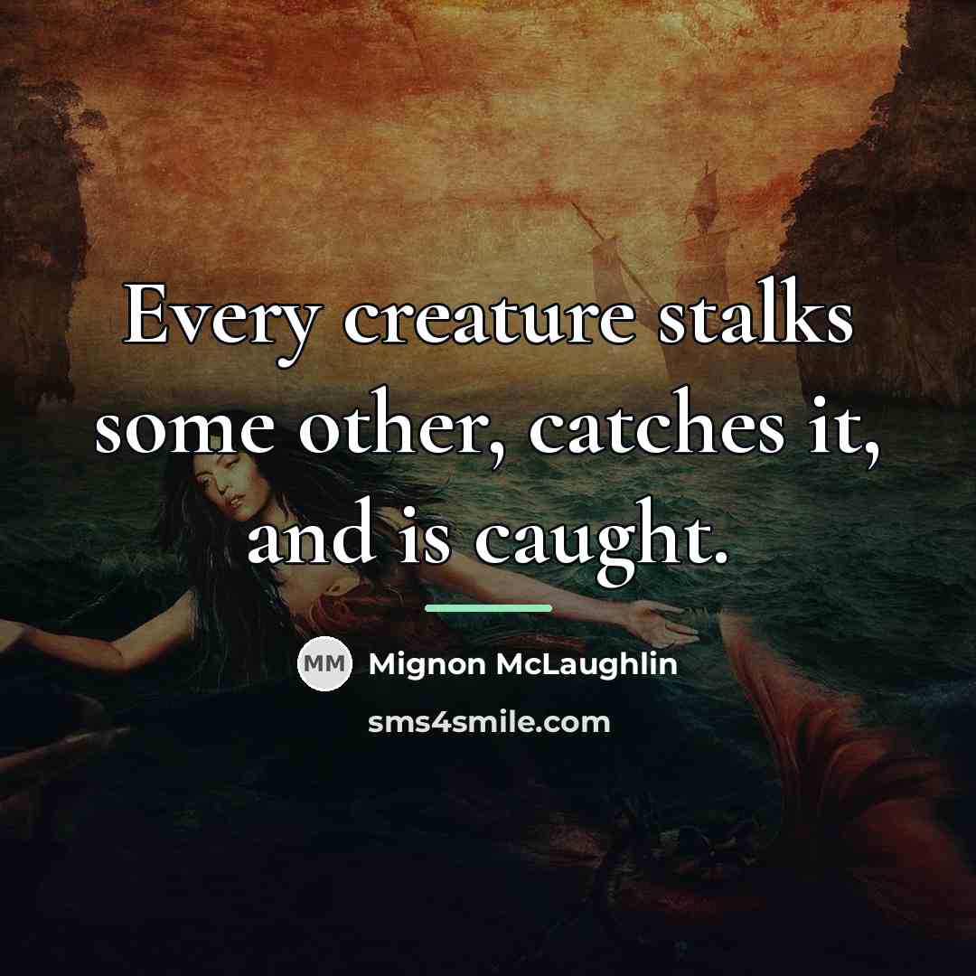 “Every creature stalks some other, catches it, and is caught.…” quote by Mignon McLaughlin
