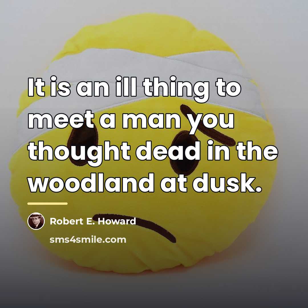“It is an ill thing to meet a man you…” quote by Robert E. Howard