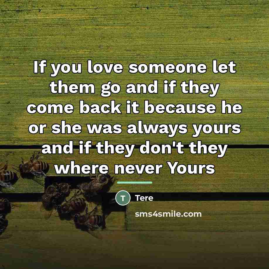 “If you love someone let them go and if they…” quote by Tere