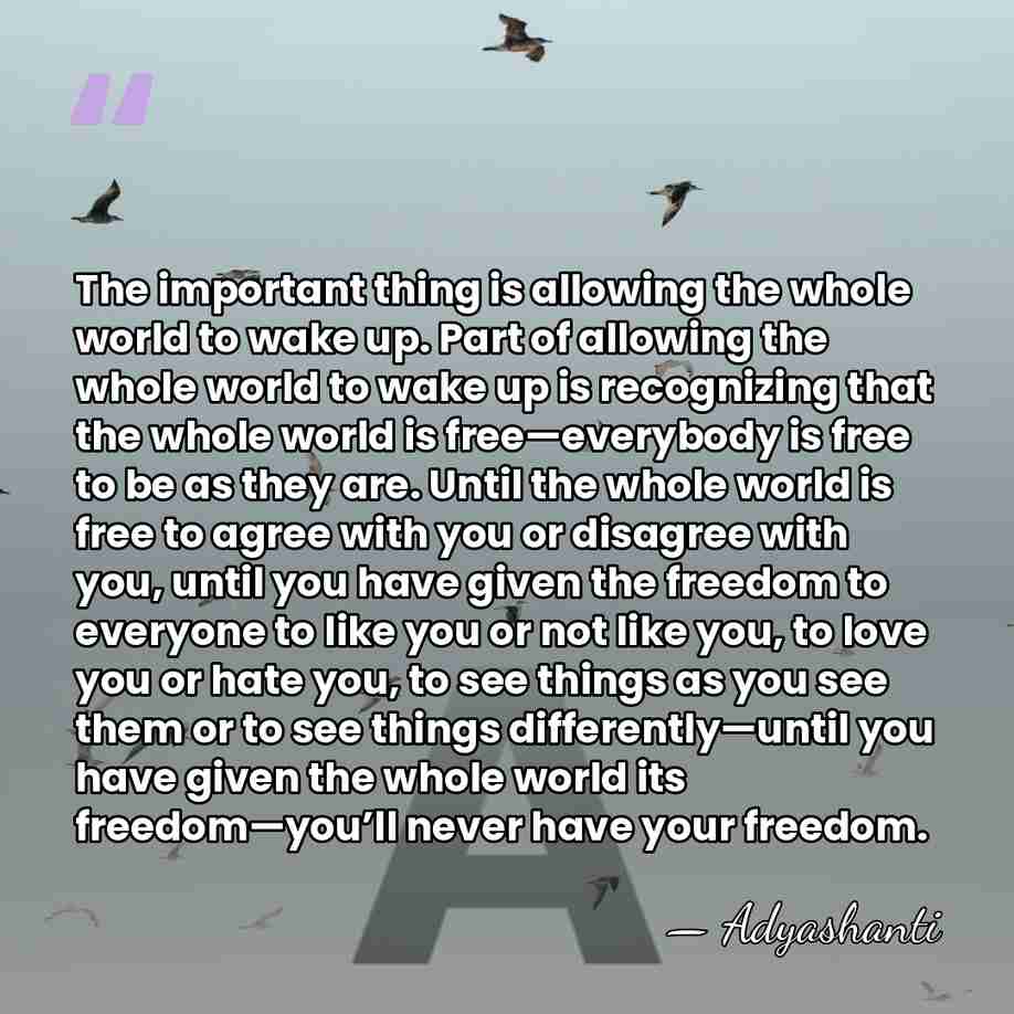 The important thing is allowing the whole world to wake up. Part&hellip; - Adyashanti