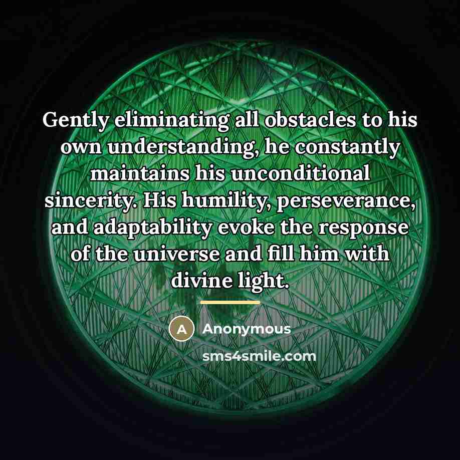 “Gently eliminating all obstacles to his own understanding, he constantly…” quote by Anonymous