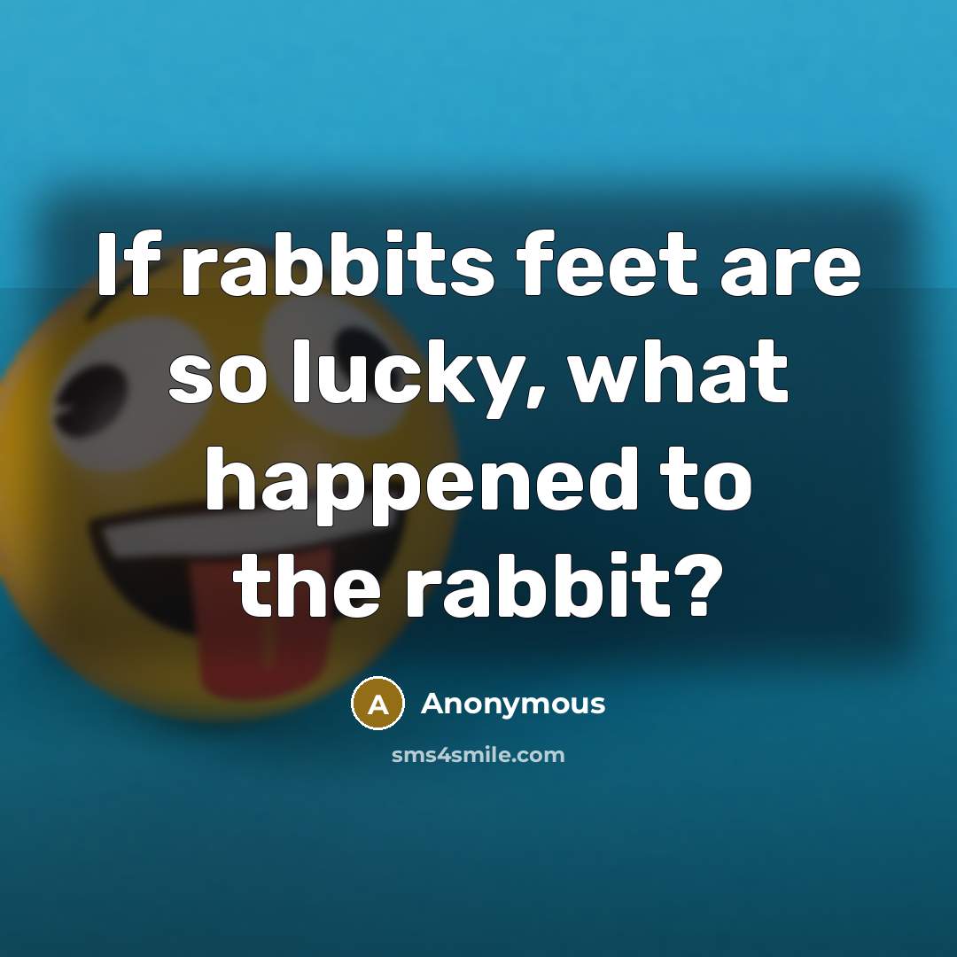 “If rabbits feet are so lucky, what happened to the…” quote by Anonymous