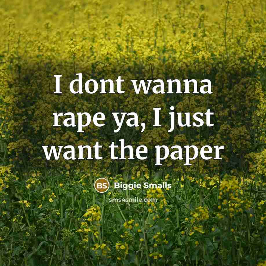 “I dont wanna rape ya, I just want the paper…” quote by Biggie Smalls