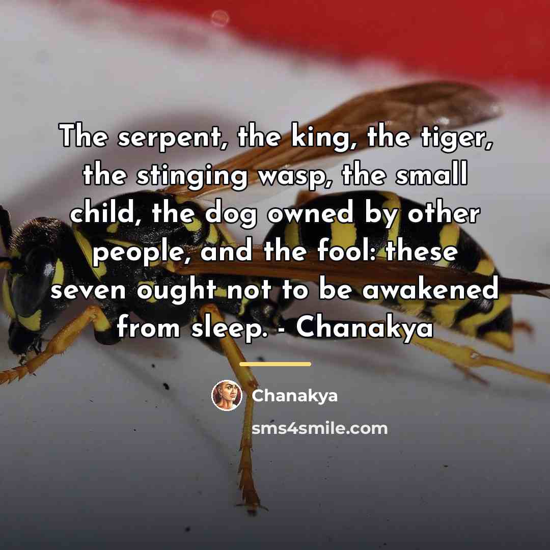 “The serpent, the king, the tiger, the stinging wasp, the…” quote by Chanakya