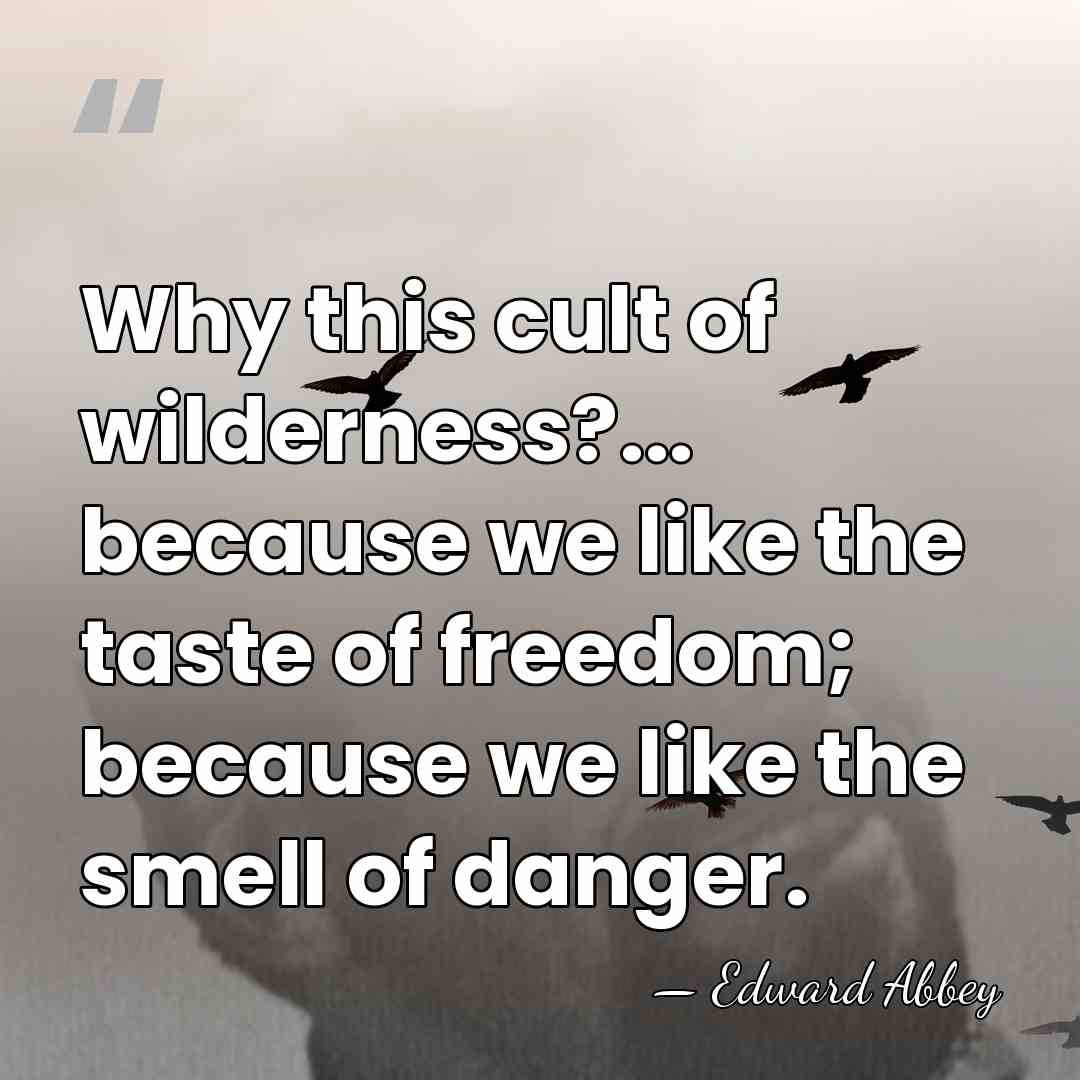Why this cult of wilderness?... because we like the taste of freedom;&hellip; - Edward Abbey