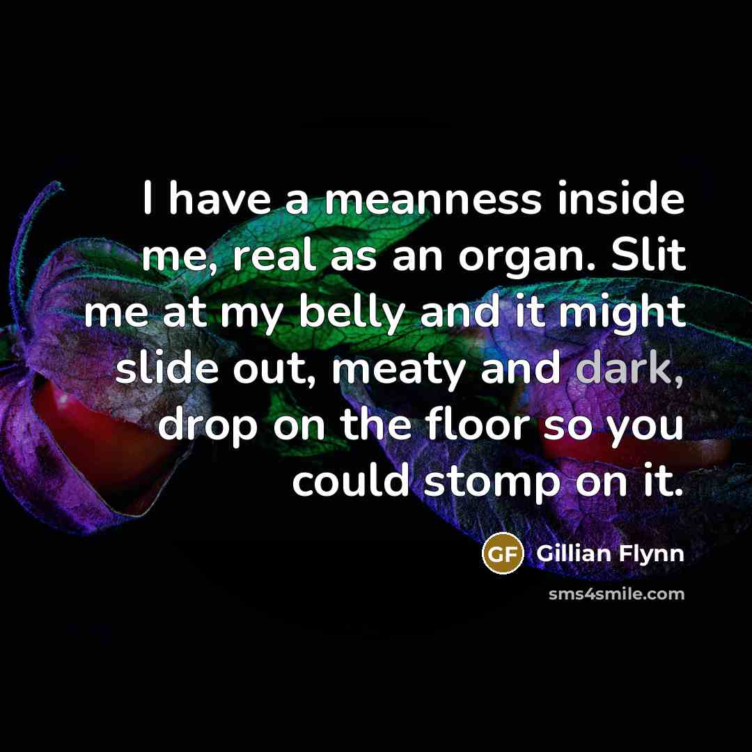 “I have a meanness inside me, real as an organ.…” quote by Gillian Flynn