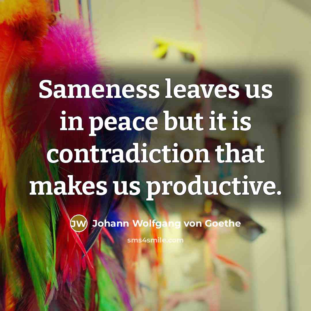 “Sameness leaves us in peace but it is contradiction that…” quote by Johann Wolfgang von Goethe