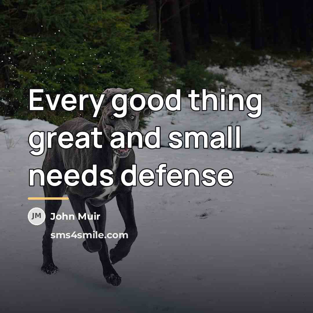 “Every good thing great and small needs defense…” quote by John Muir
