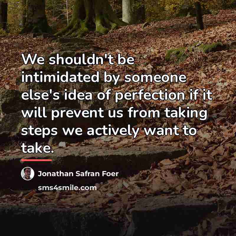 “We shouldn't be intimidated by someone else's idea of perfection…” quote by Jonathan Safran Foer