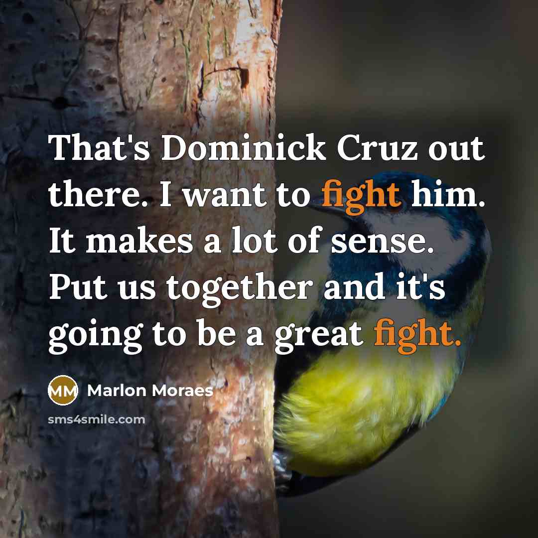 “That's Dominick Cruz out there. I want to fight him.…” quote by Marlon Moraes