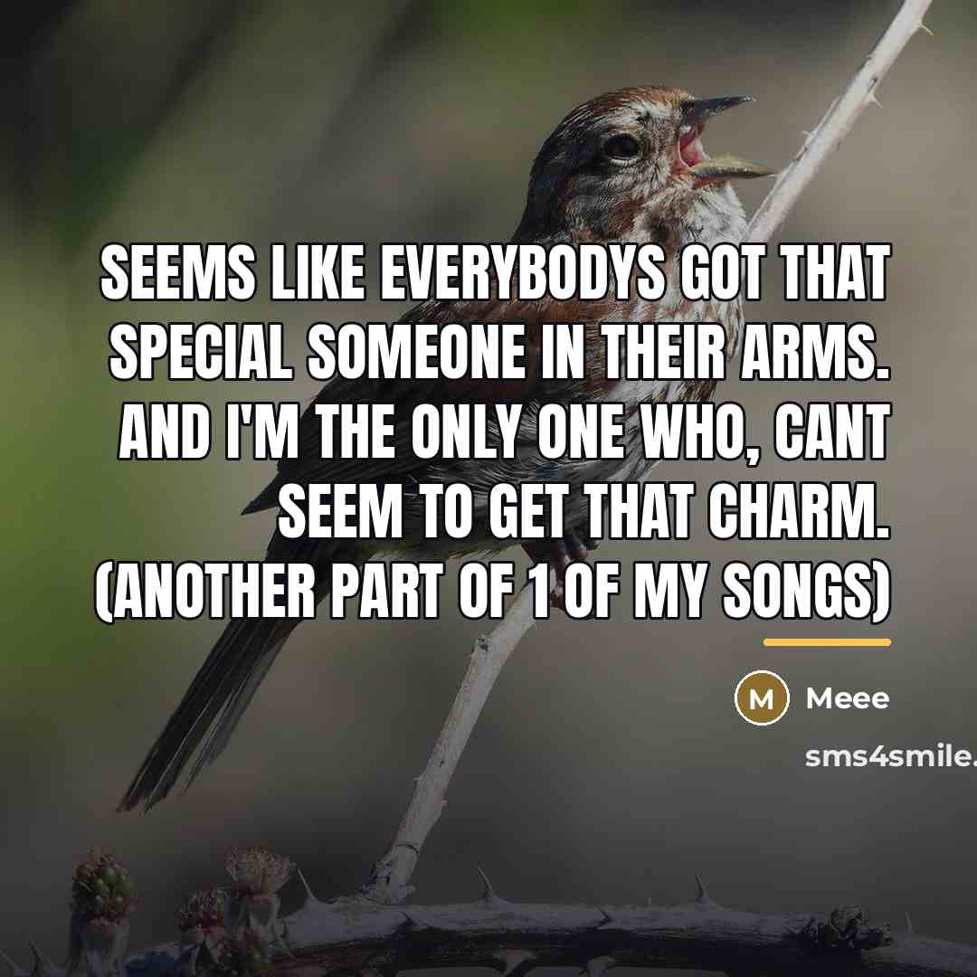 “Seems like everybodys got that special someone in their arms.…” quote by MEEE