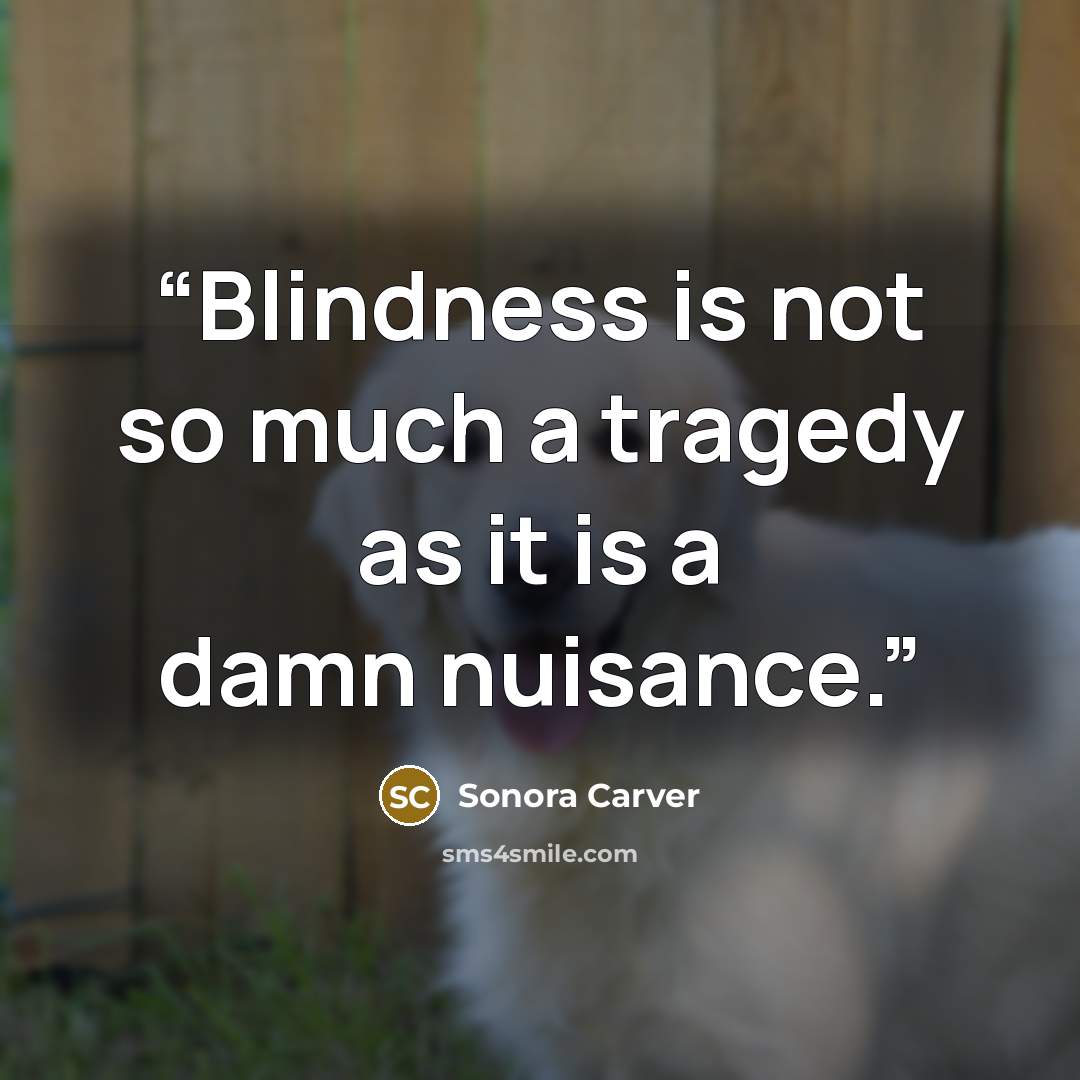 “Blindness is not so much a tragedy as it is a damn nuisance.” quote by Sonora Carver