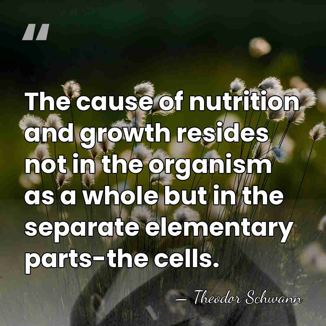 The cause of nutrition and growth resides not in the organism as&hellip; - Theodor Schwann