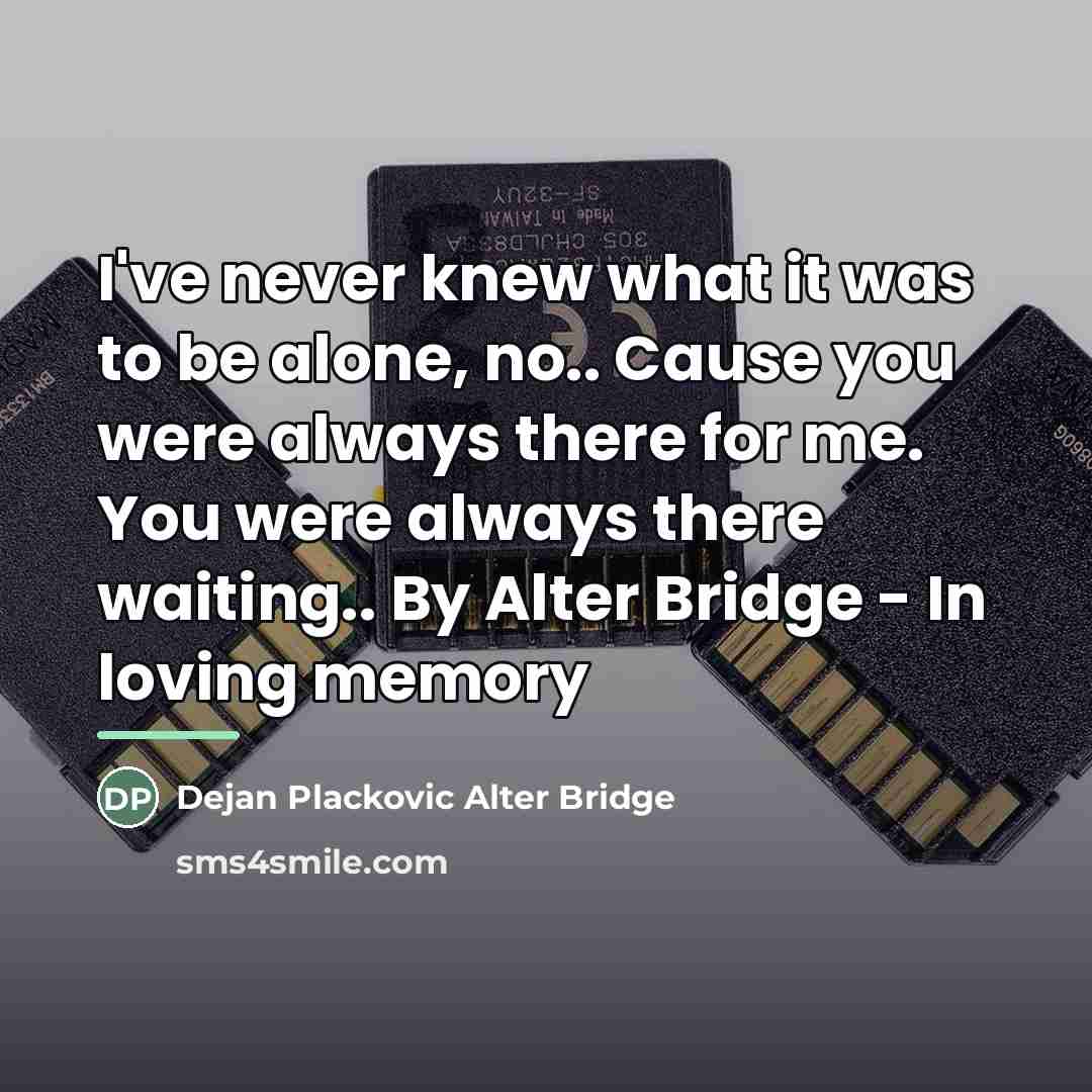 “I've never knew what it was to be alone, no..…” quote by Dejan Plackovic Alter Bridge