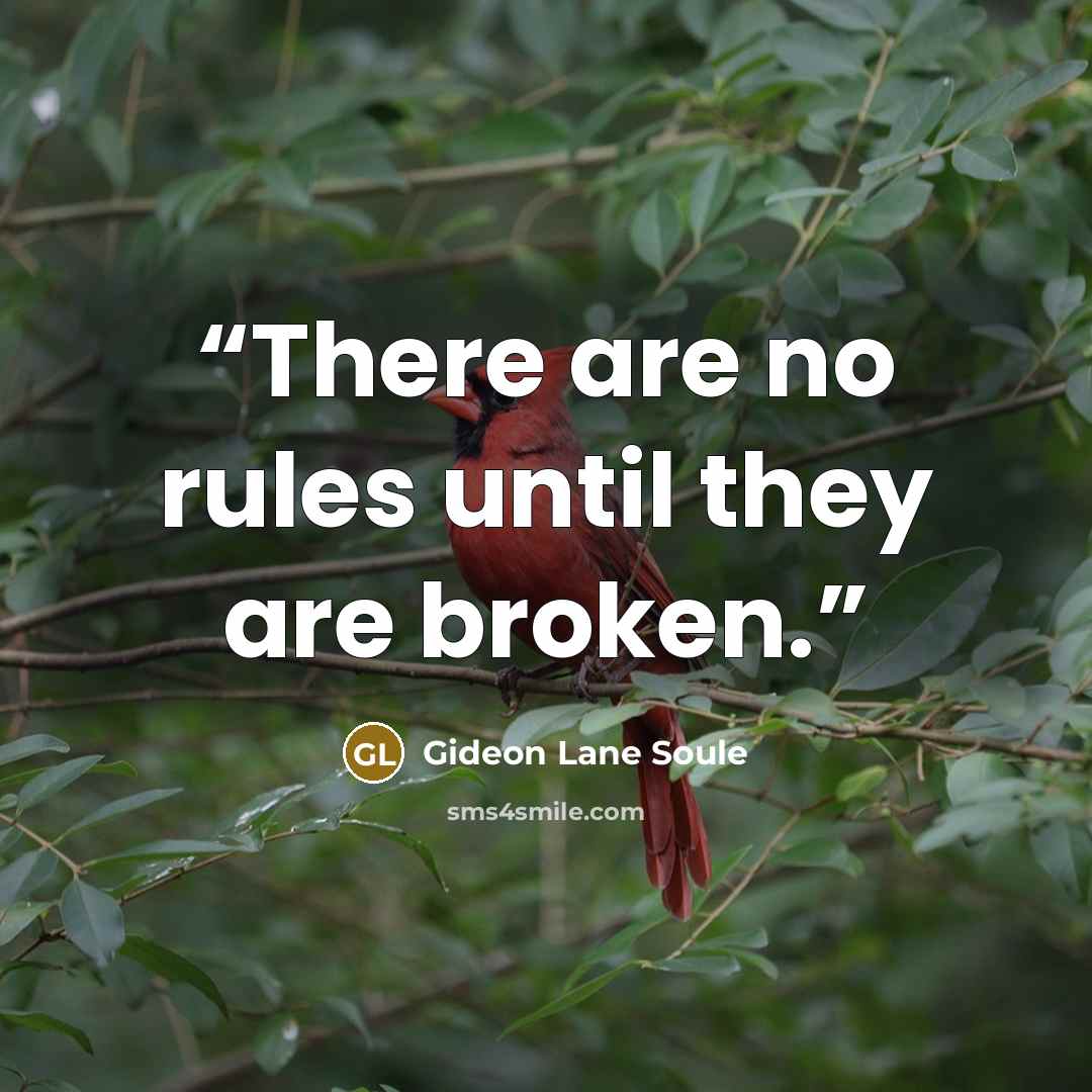 “There are no rules until they are broken.” quote by Gideon Lane Soule