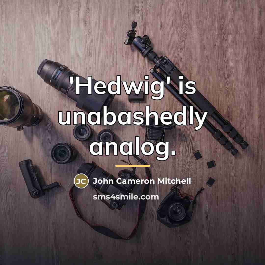 “'Hedwig' is unabashedly analog.…” quote by John Cameron Mitchell