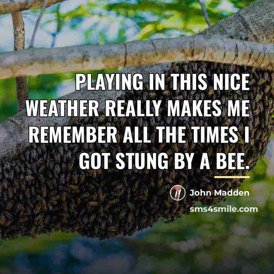 “Playing in this nice weather really makes me remember all…” quote by John Madden