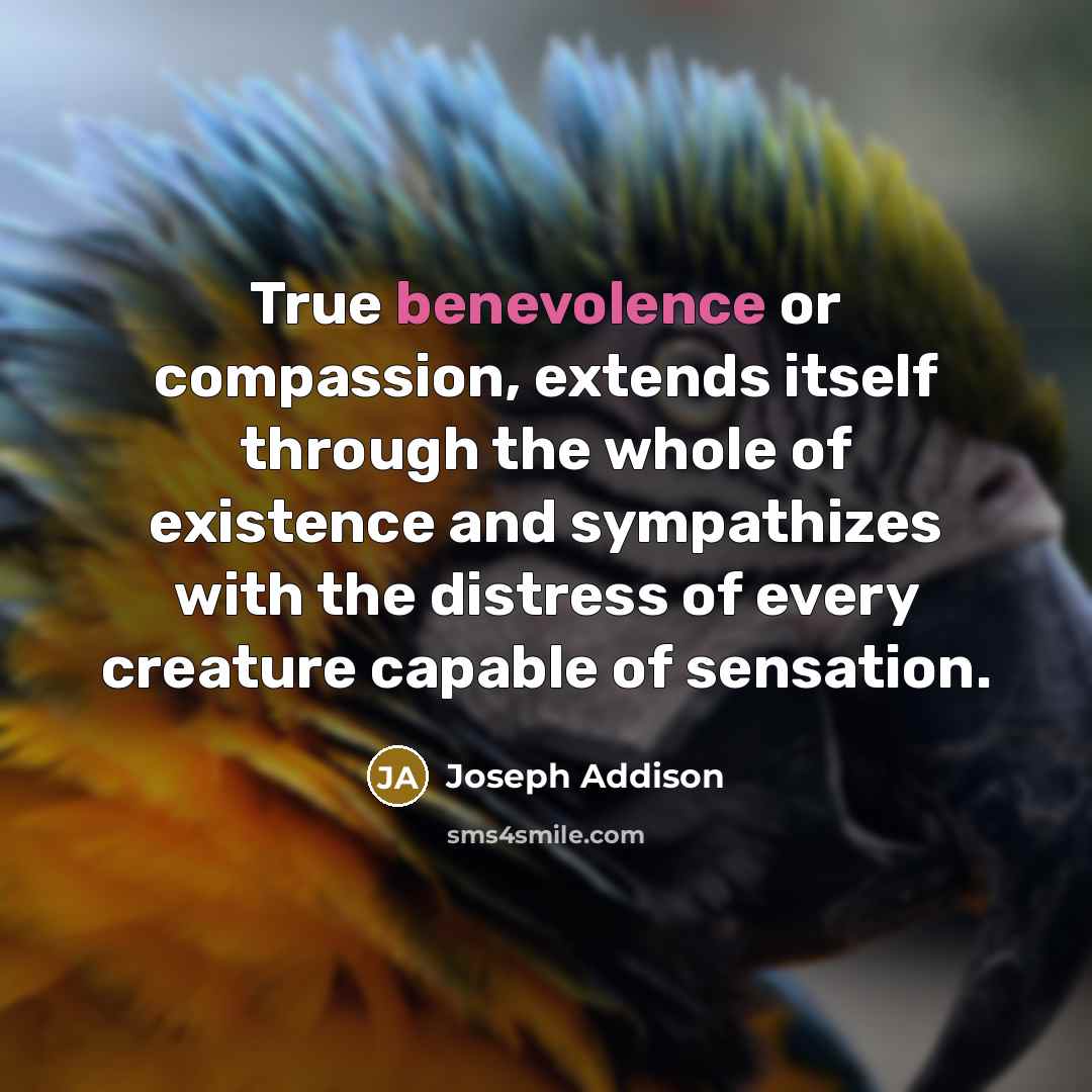 “True benevolence or compassion, extends itself through the whole of…” quote by Joseph Addison
