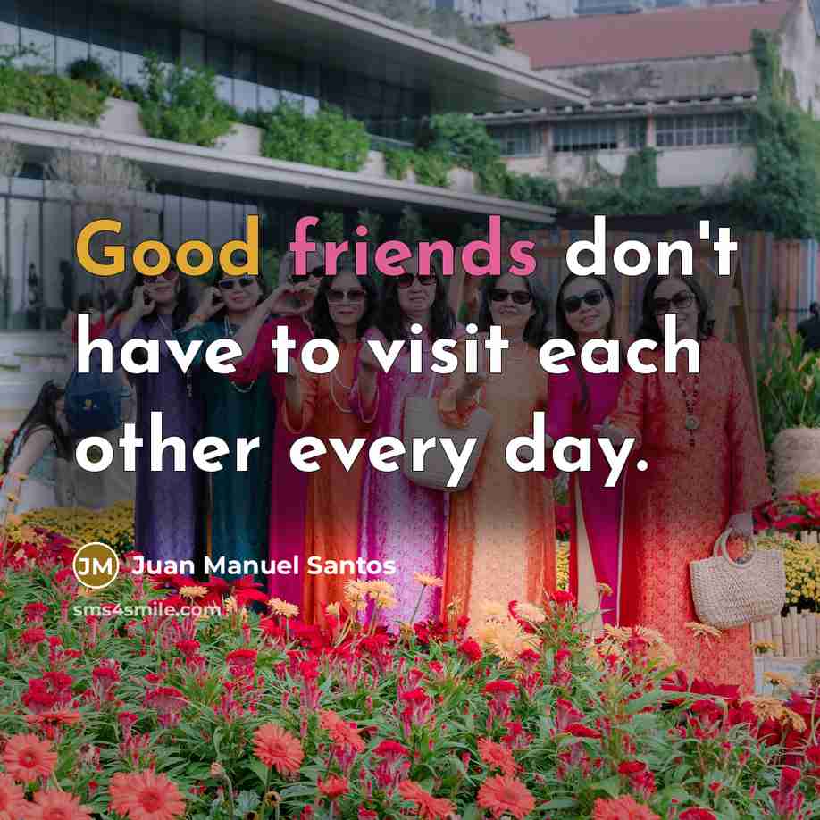 “Good friends don't have to visit each other every day.…” quote by Juan Manuel Santos