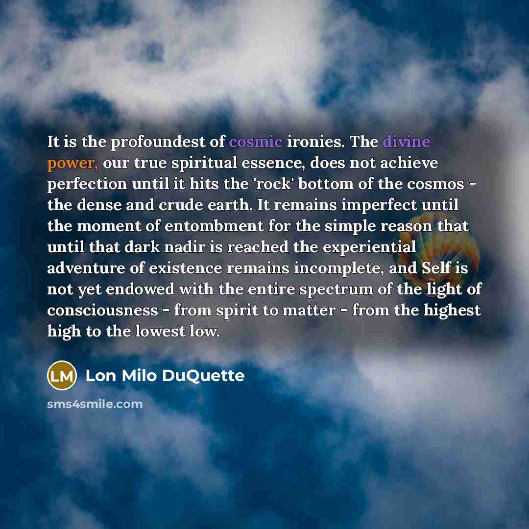 “It is the profoundest of cosmic ironies. The divine power,…” quote by Lon Milo DuQuette
