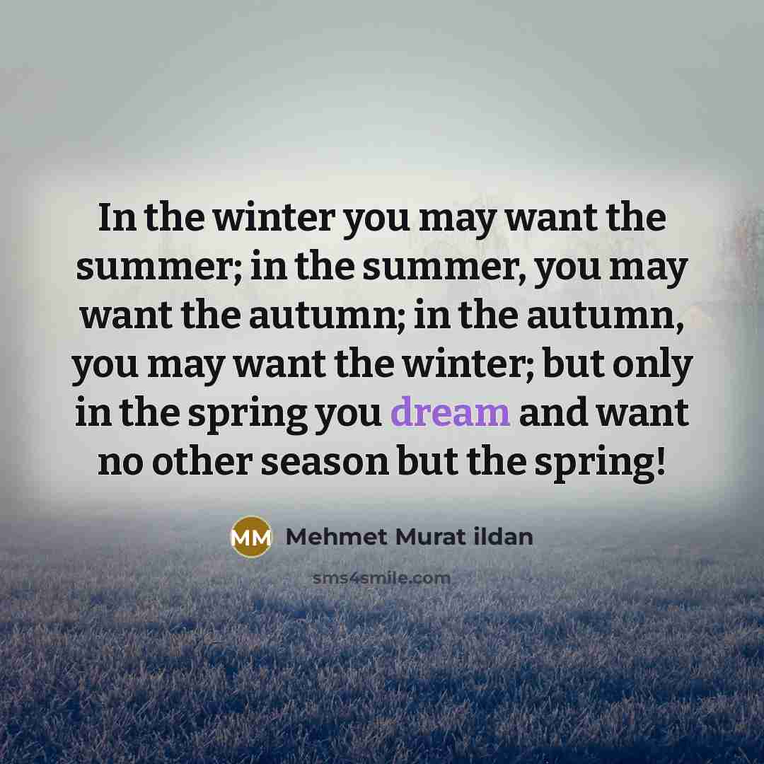 “In the winter you may want the summer; in the…” quote by Mehmet Murat Ildan