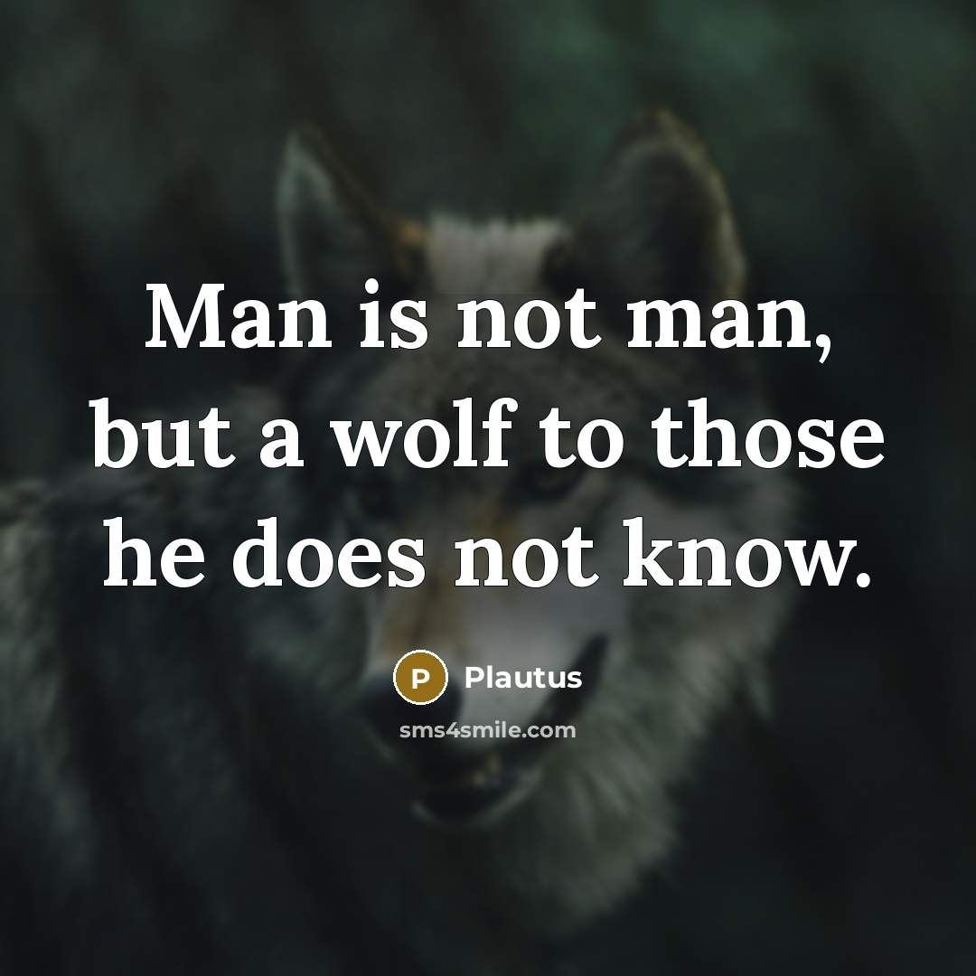 “Man is not man, but a wolf to those he…” quote by Plautus