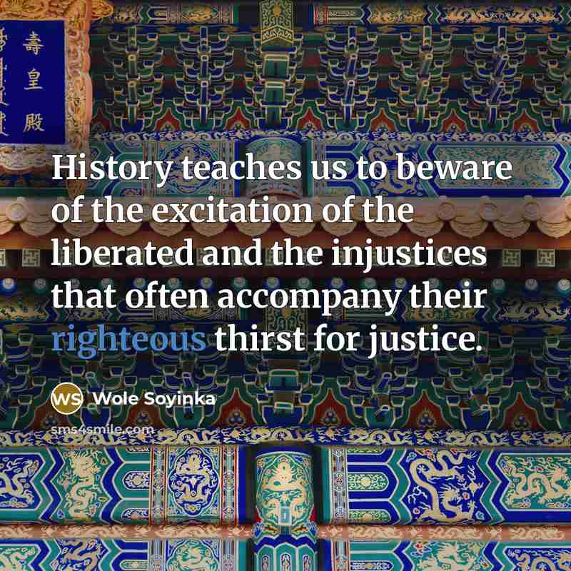 “History teaches us to beware of the excitation of the…” quote by Wole Soyinka
