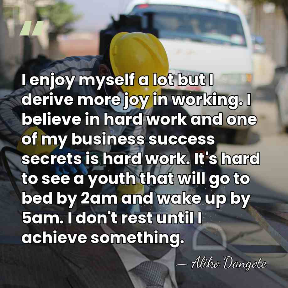 I enjoy myself a lot but I derive more joy in working.&hellip; - Aliko Dangote