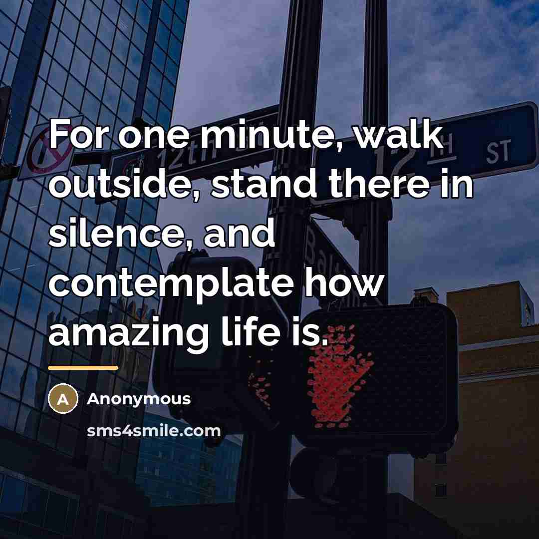 “For one minute, walk outside, stand there in silence, and…” quote by Anonymous