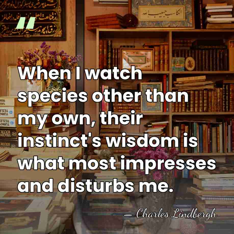When I watch species other than my own, their instinct's wisdom is&hellip; - Charles Lindbergh