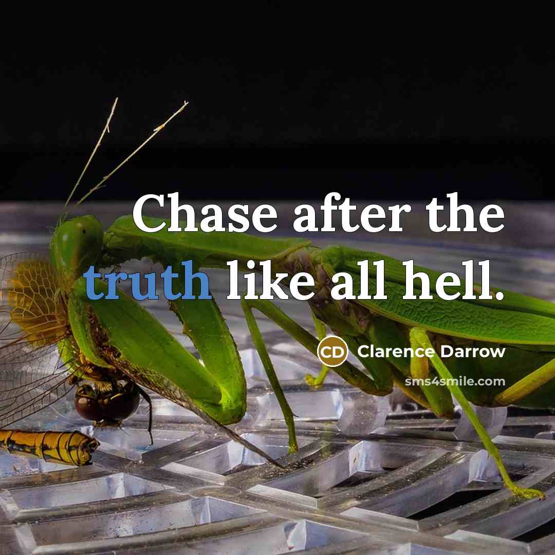 “Chase after the truth like all hell.…” quote by Clarence Darrow
