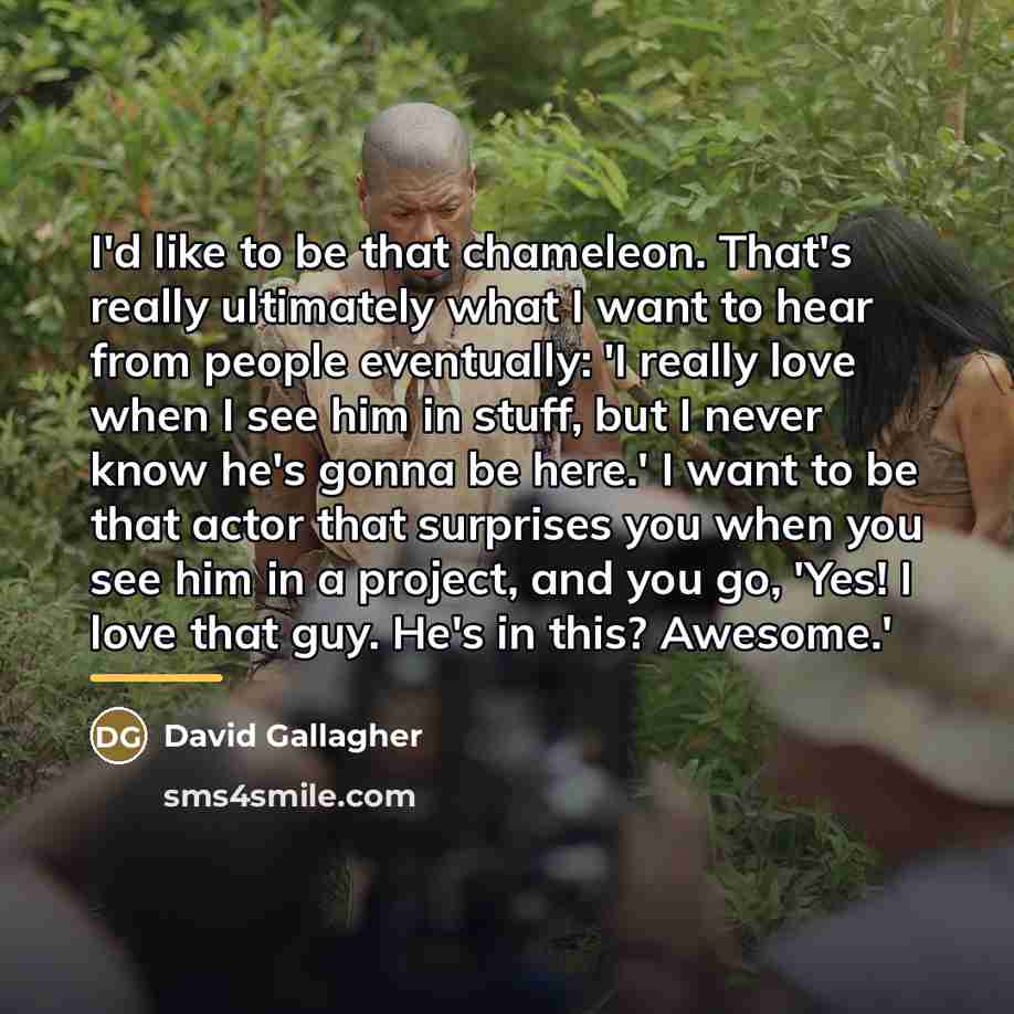 “I'd like to be that chameleon. That's really ultimately what…” quote by David Gallagher