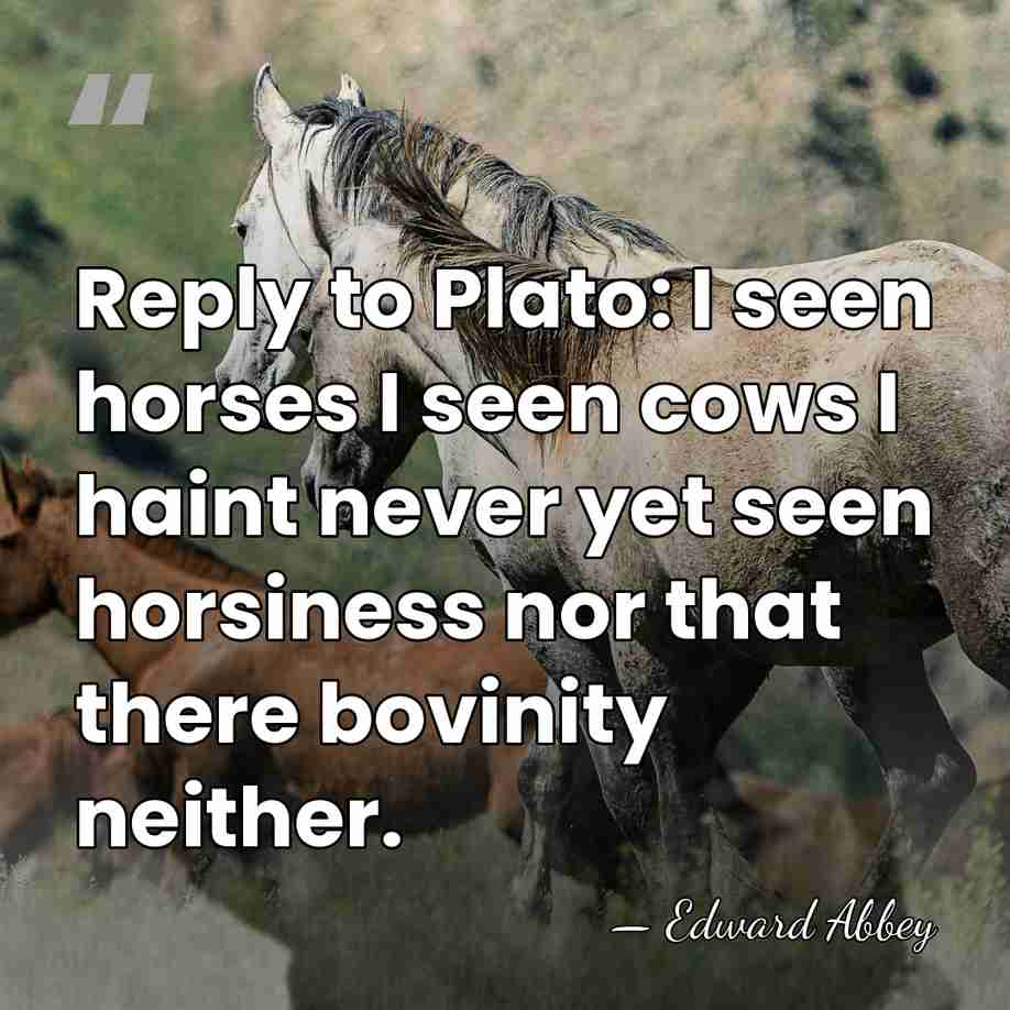 Reply to Plato: I seen horses I seen cows I haint never&hellip; - Edward Abbey
