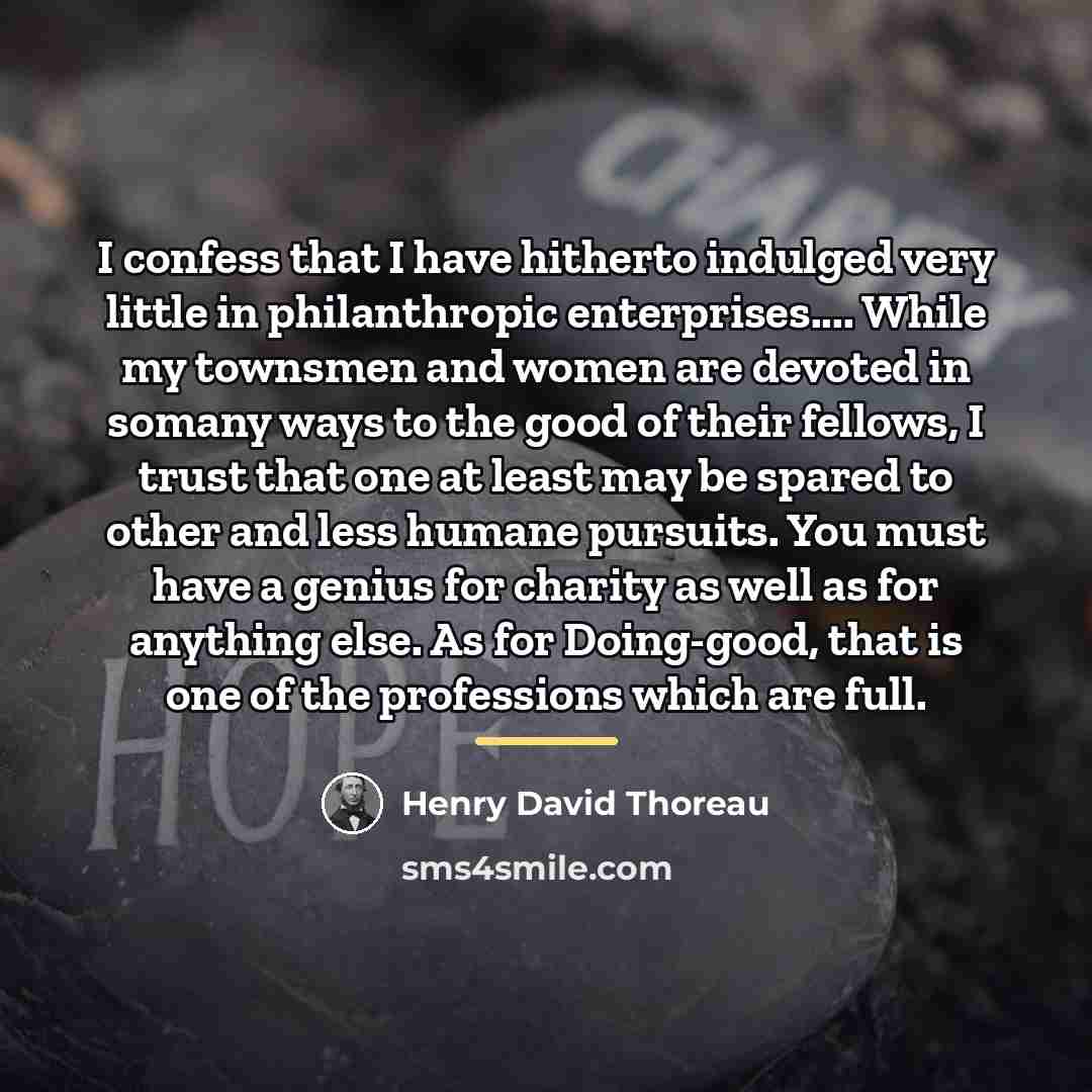 “I confess that I have hitherto indulged very little in…” quote by Henry David Thoreau