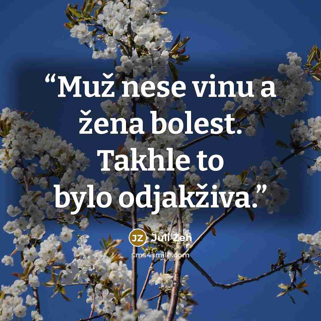 “Muž nese vinu a žena bolest. Takhle to bylo odjakživa.” quote by Juli Zeh