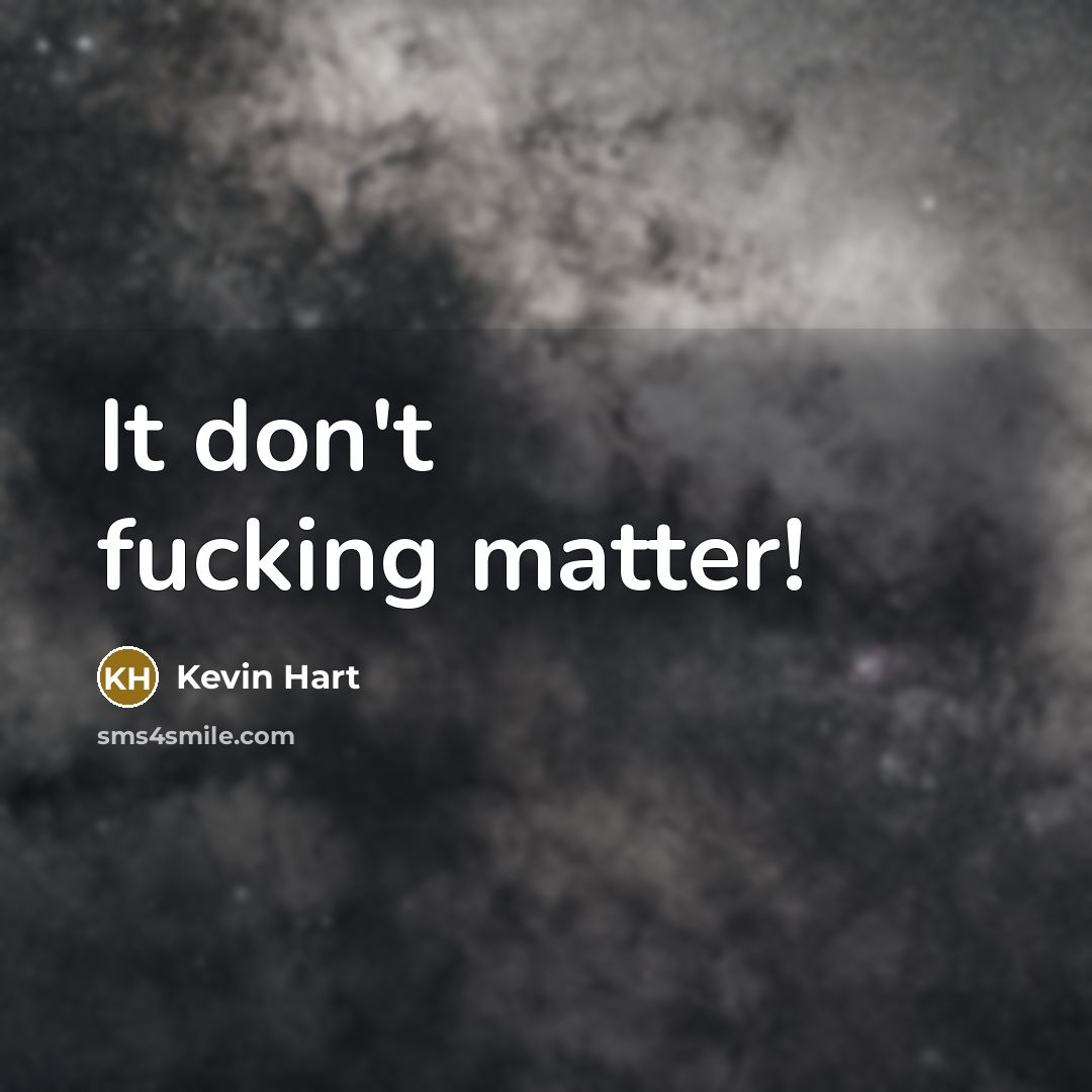 “It don't fucking matter!…” quote by Kevin Hart
