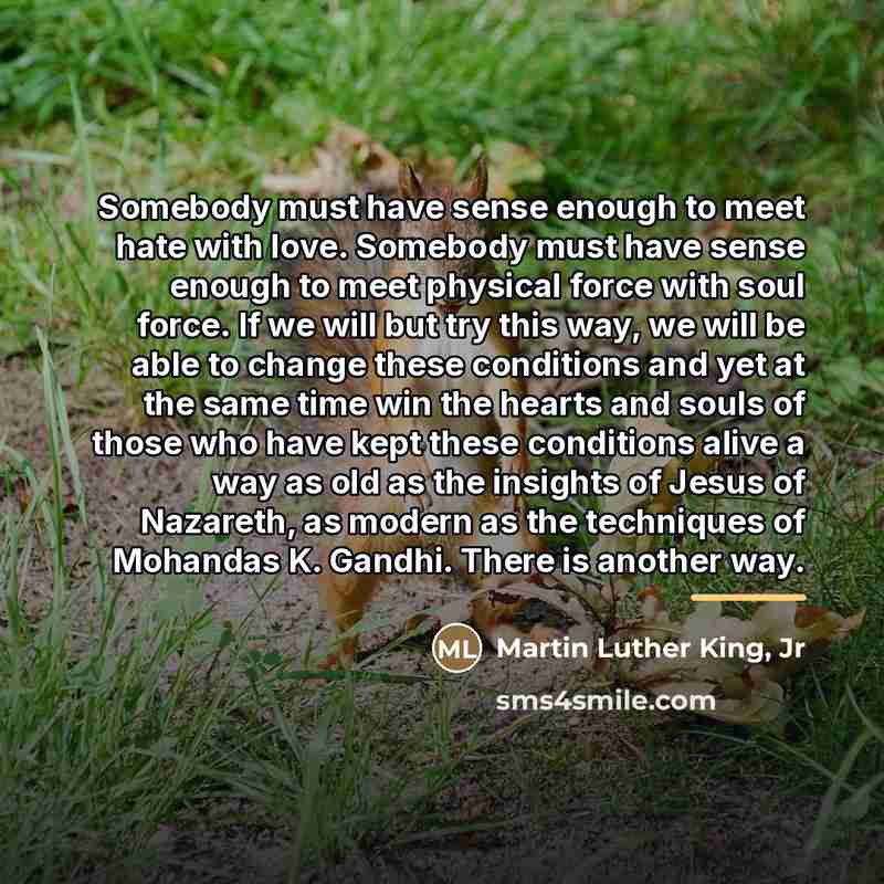 “Somebody must have sense enough to meet hate with love.…” quote by Martin Luther King, Jr