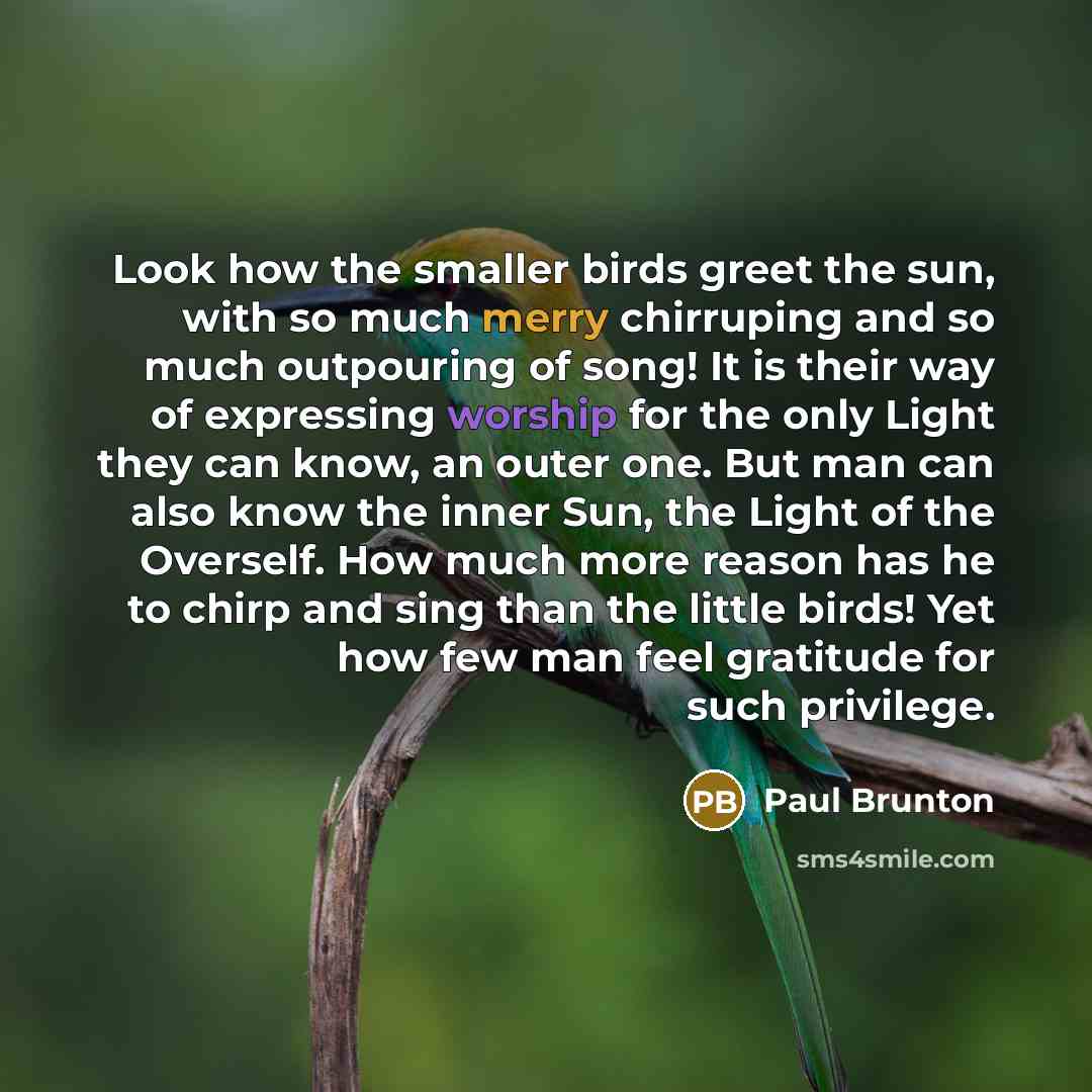 “Look how the smaller birds greet the sun, with so…” quote by Paul Brunton
