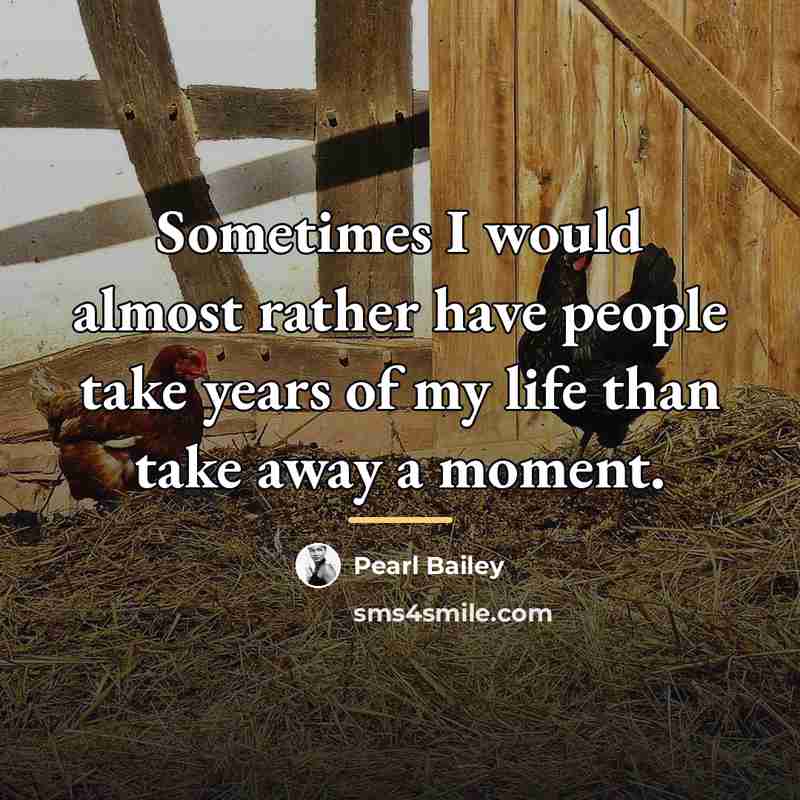 “Sometimes I would almost rather have people take years of…” quote by Pearl Bailey