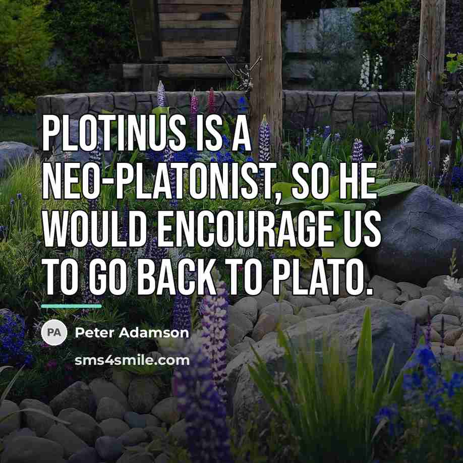“Plotinus is a neo-Platonist, so he would encourage us to…” quote by Peter Adamson