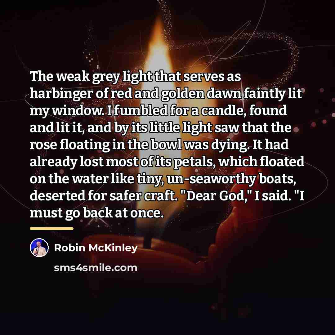 “The weak grey light that serves as harbinger of red…” quote by Robin McKinley
