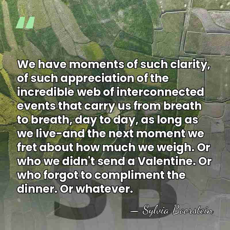 We have moments of such clarity, of such appreciation of the incredible&hellip; - Sylvia Boorstein