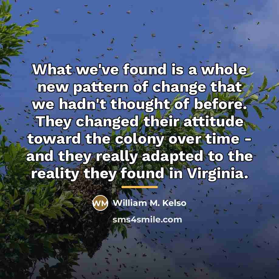 “What we've found is a whole new pattern of change…” quote by William M. Kelso