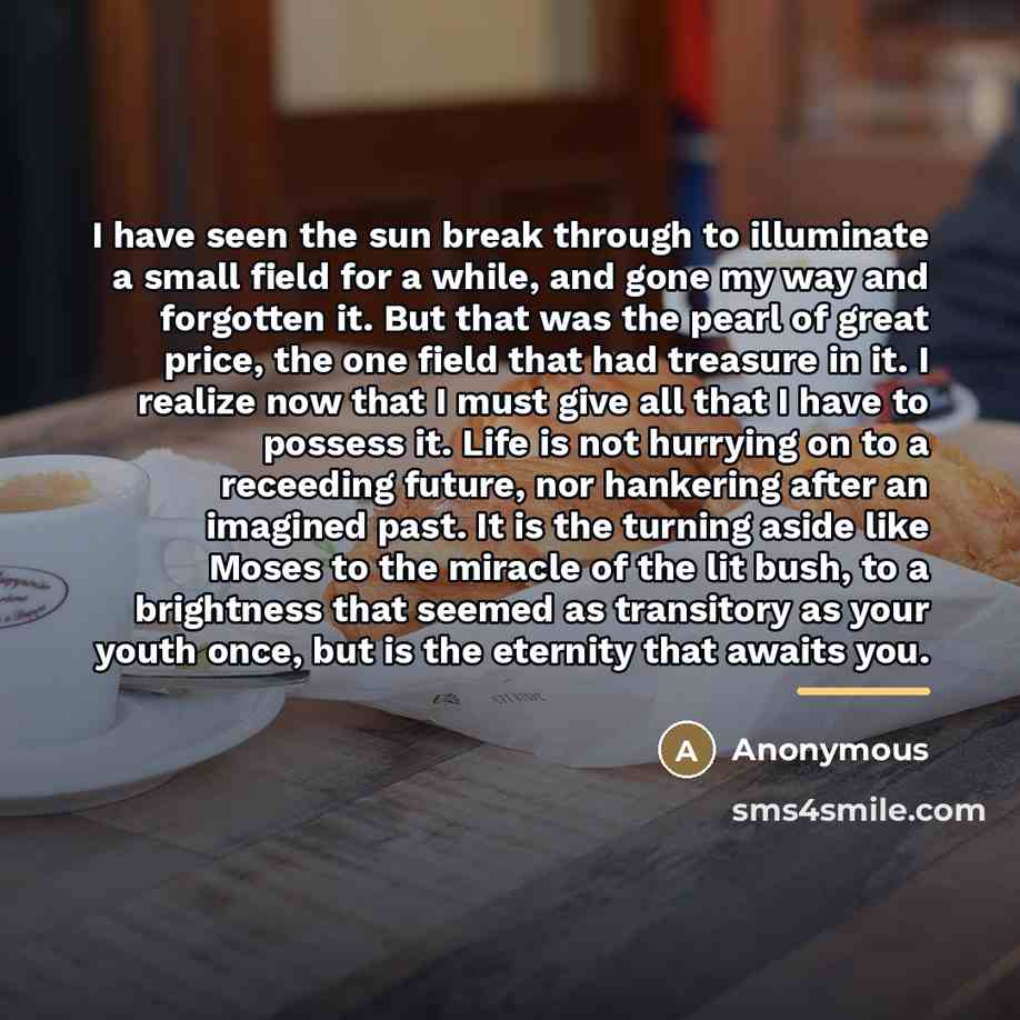 “I have seen the sun break through to illuminate a…” quote by Anonymous