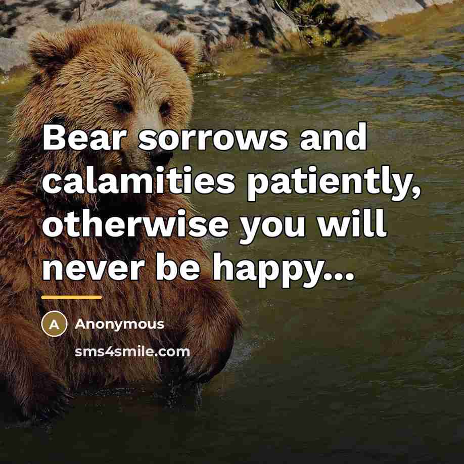 “Bear sorrows and calamities patiently, otherwise you will never be…” quote by Anonymous