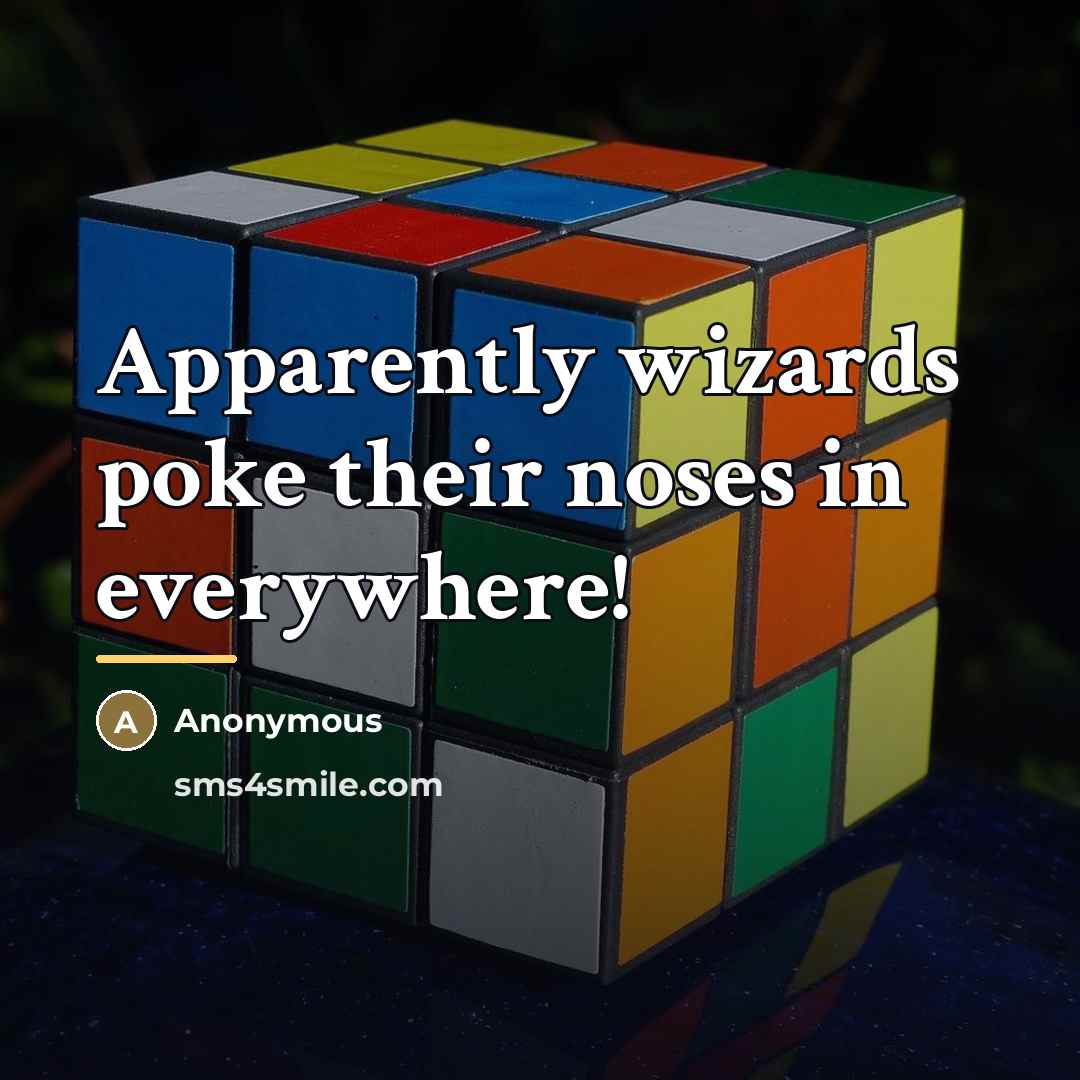 “Apparently wizards poke their noses in everywhere!…” quote by Anonymous