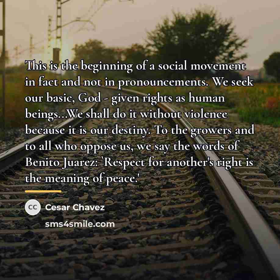 “This is the beginning of a social movement in fact…” quote by Cesar Chavez
