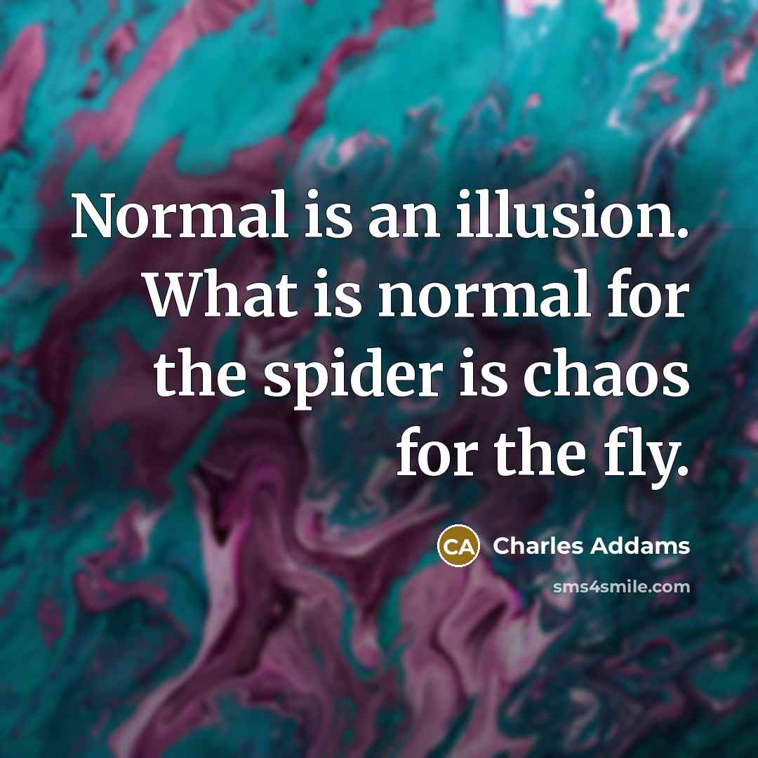 “Normal is an illusion. What is normal for the spider…” quote by Charles Addams