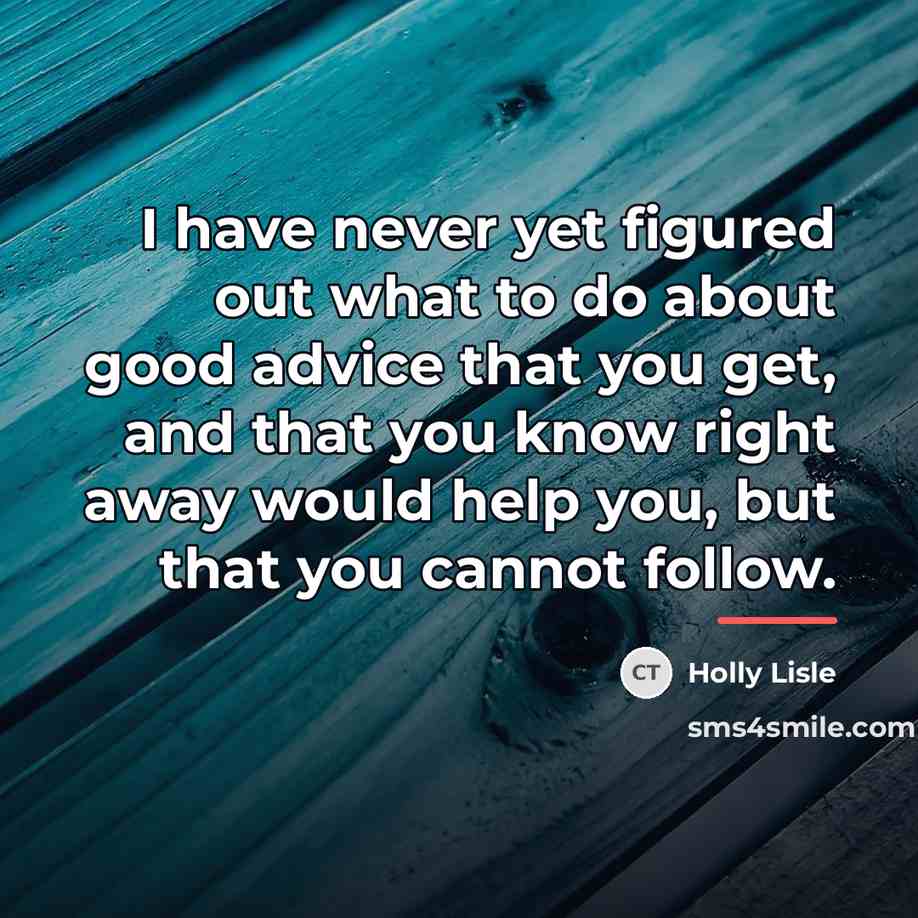“I have never yet figured out what to do about…” quote by Holly Lisle